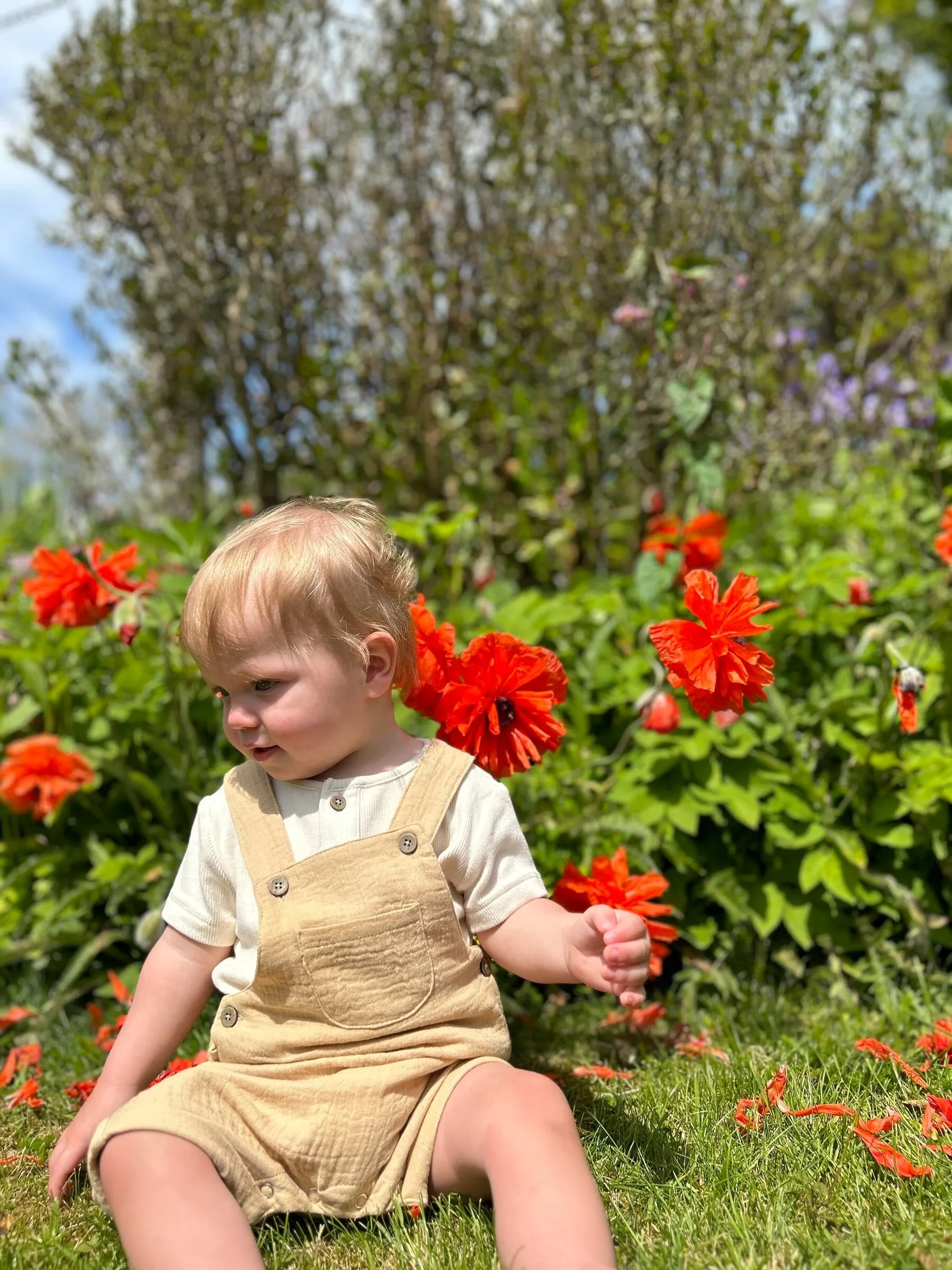 Ettie & H Wella Overall Shorts / Gold