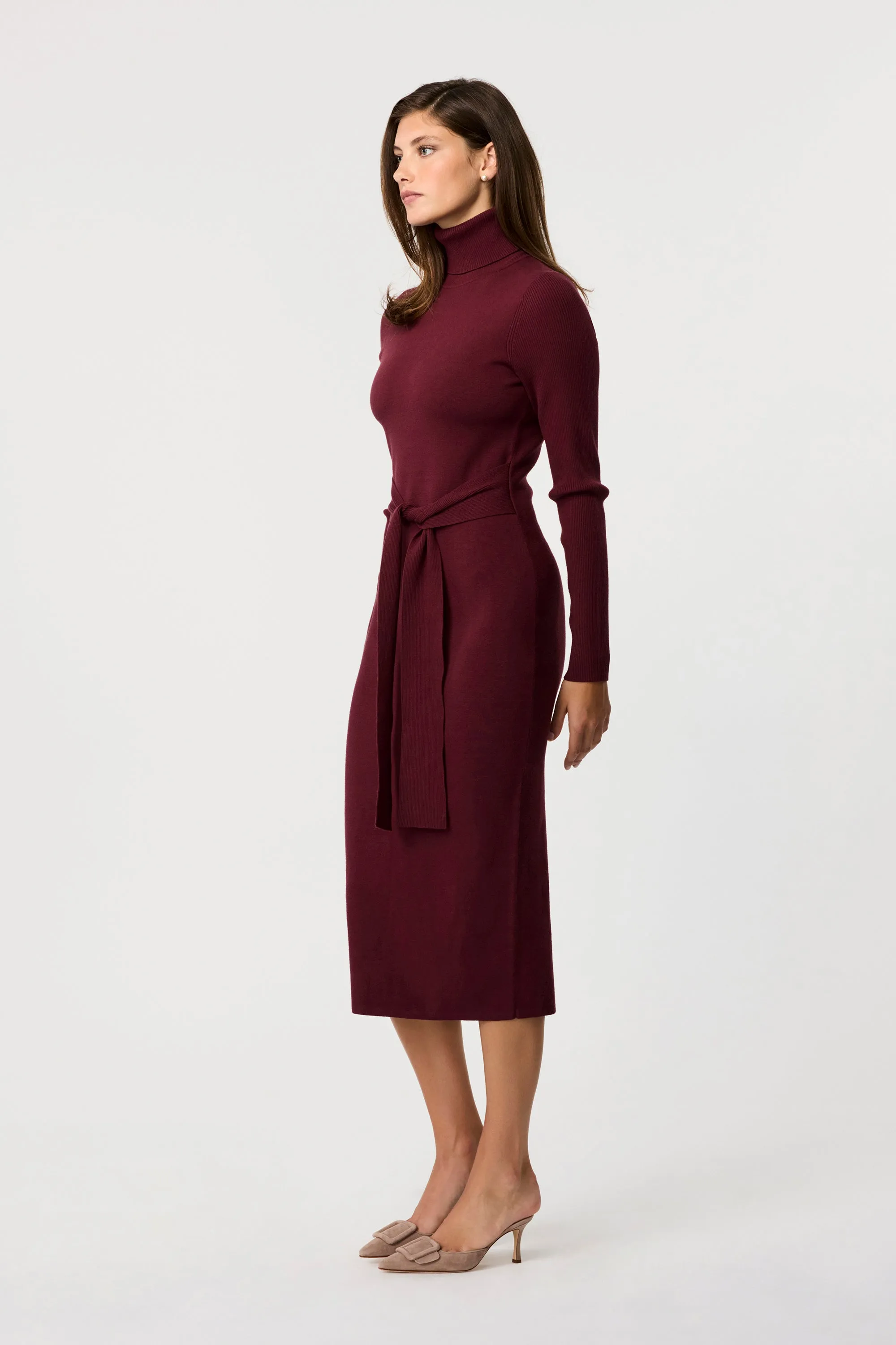 Logan Turtleneck Dress