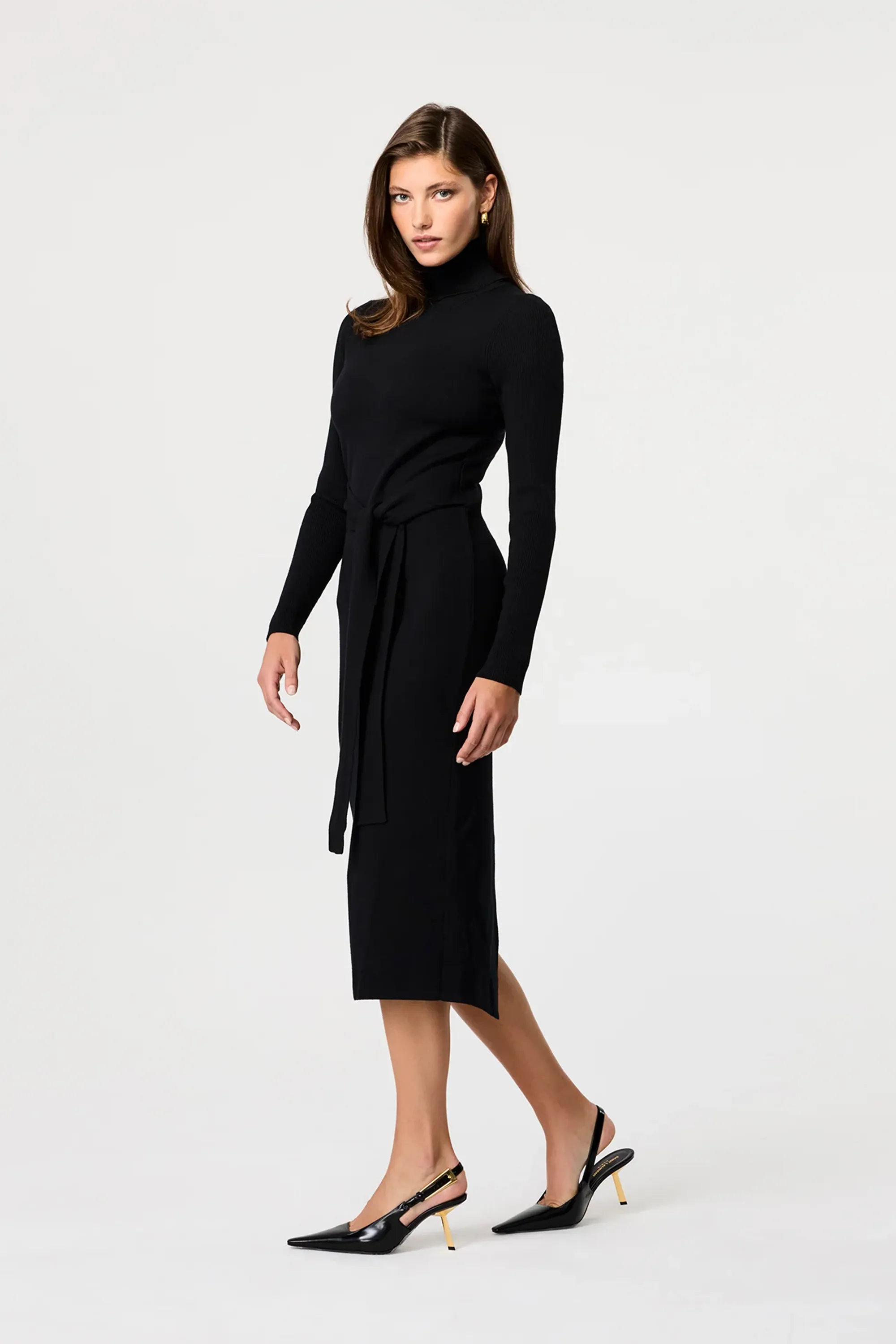 Logan Turtleneck Dress