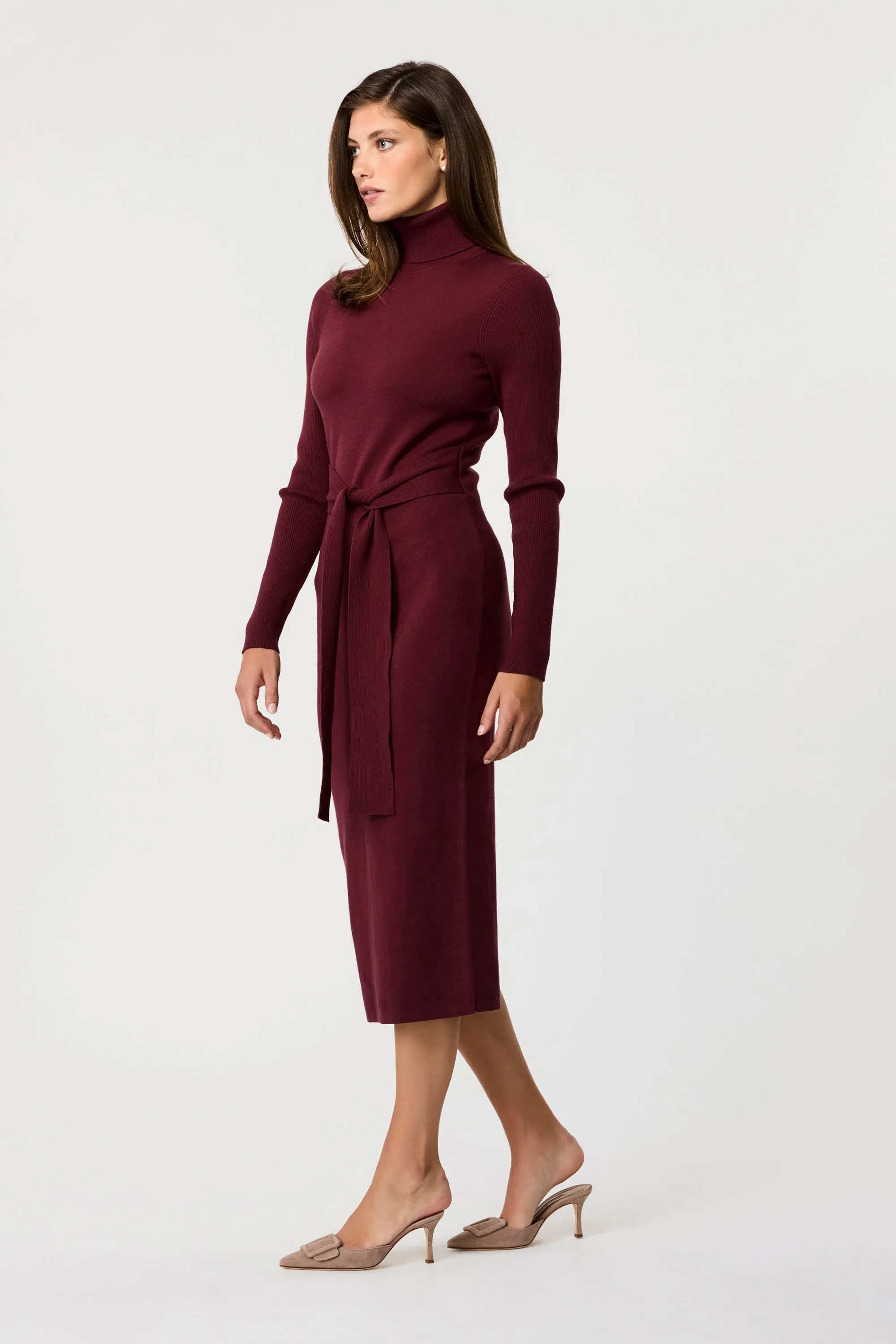 Logan Turtleneck Dress