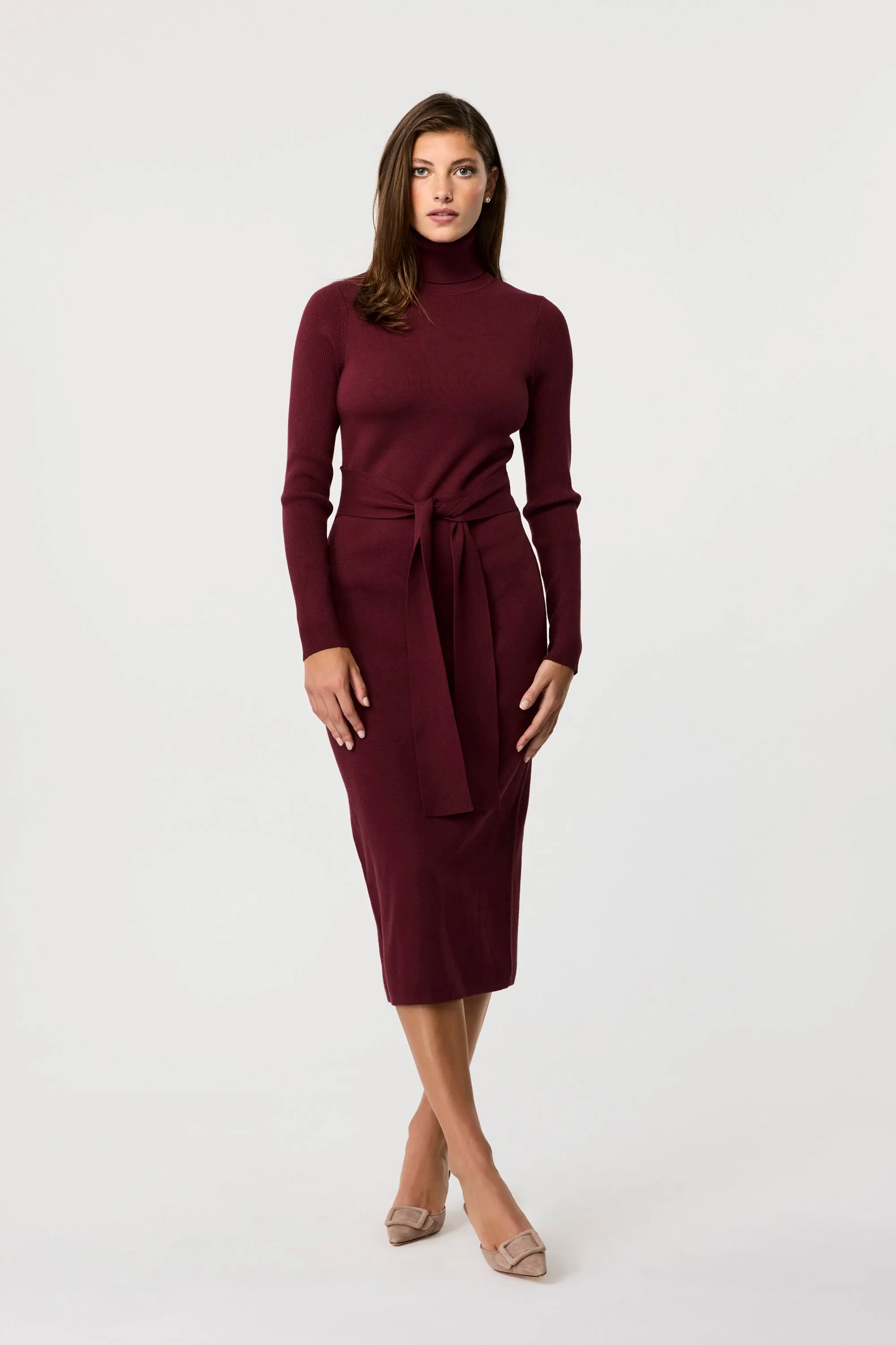 Logan Turtleneck Dress