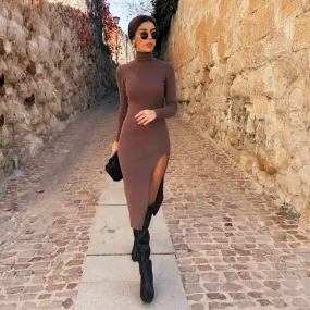 Long Sleeves High-Neck Elegant Chic Lady Knit Sweater Dress